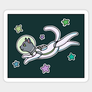 Space pets - kitty Magnet